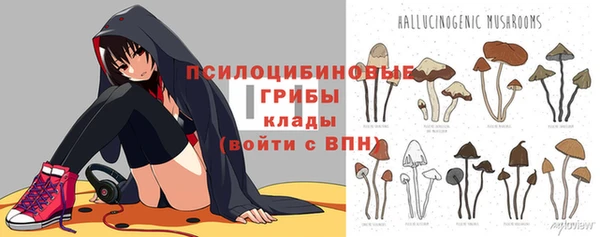 ECSTASY Вяземский