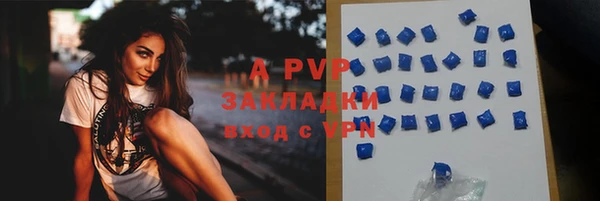 сатива Горняк