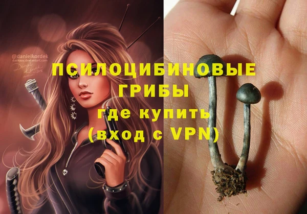 2c-b Вязники