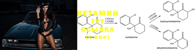 прущие крисы Вязьма