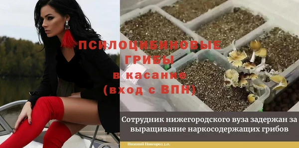 прущие крисы Вязьма