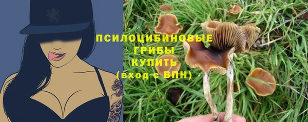 прущие крисы Вязьма