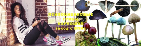 ECSTASY Вяземский