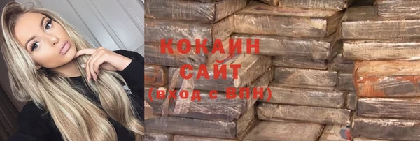 сатива Горняк