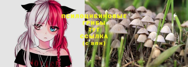 прущие крисы Вязьма