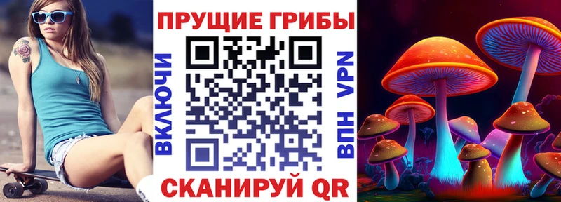 omg ТОР  Мезень  Псилоцибиновые грибы ЛСД 